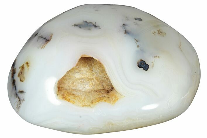 Polished Agate - Madagascar #237609
